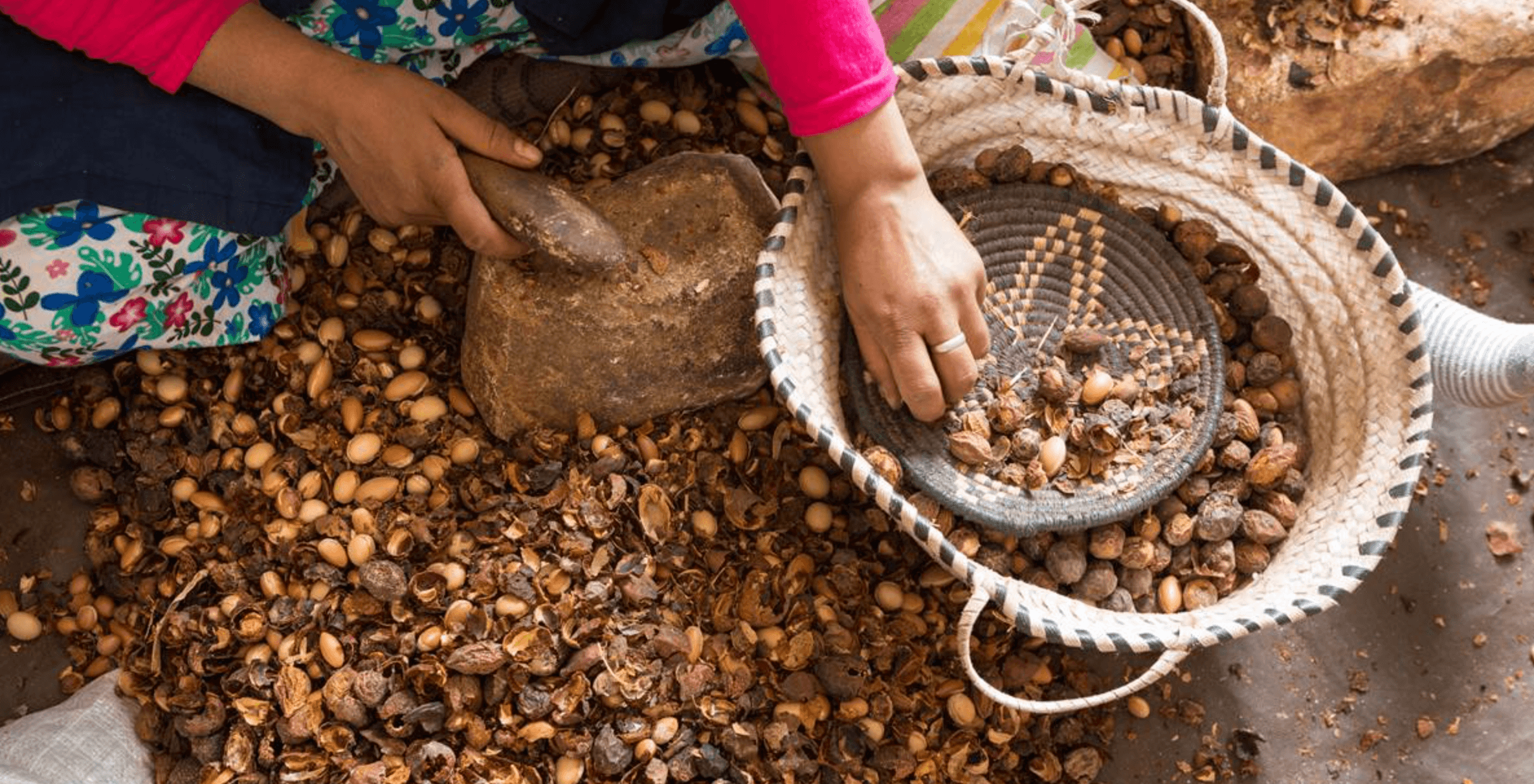 huile d'argan l'or liquide du maroc
